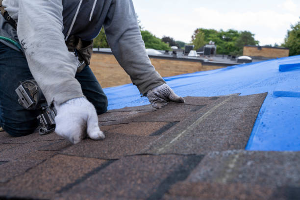 Best Roof Moss and Algae Removal  in Sapulpa, OK